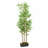 Faux Bamboo Tree in Pot-113470519
