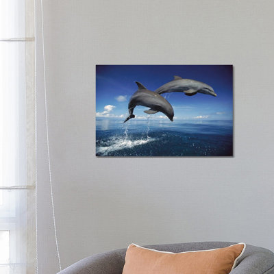 Bottlenose Dolphin Pair Jumping, Caribbean by Konrad Wothe - Wrapped Canvas Print