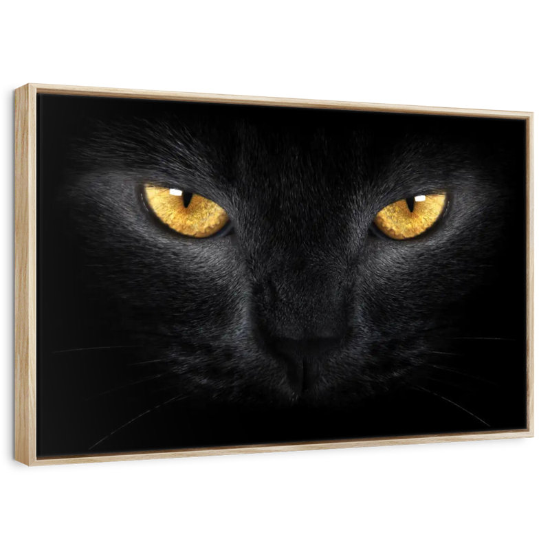 Chat aux yeux jaunes, 25 po x 17 po, Cadre flottant en bois naturel