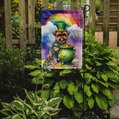 Double Sided 15.5'' H x 11.25'' W Polyester St Patrick's Day Garden Flag