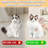 Steam Cat Brush Pet Hair Cleaning Misting Combcat Brushes For Indoor Cats-107245851