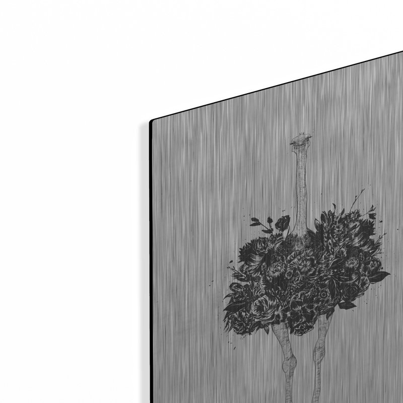 «Floral Ostrich» par Balazs Solti, art mural en métal, 24 po x 36 po, H 16 po x l 12 po
