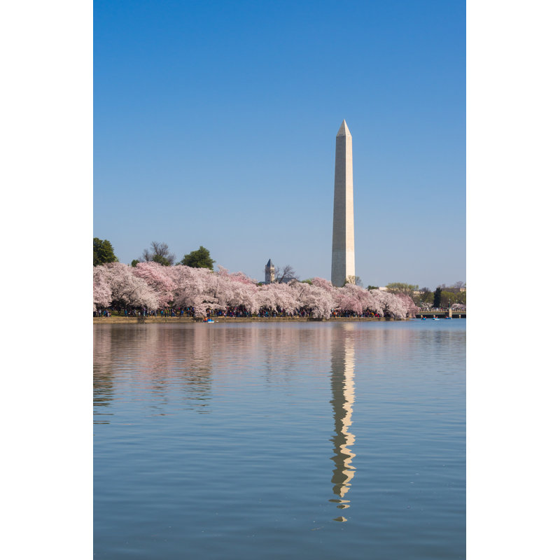 Boan Washington Cherry Blossoms by Tyler_Sprague - Wrapped Canvas Print, 46cm H x 30cm W 3.8cm D