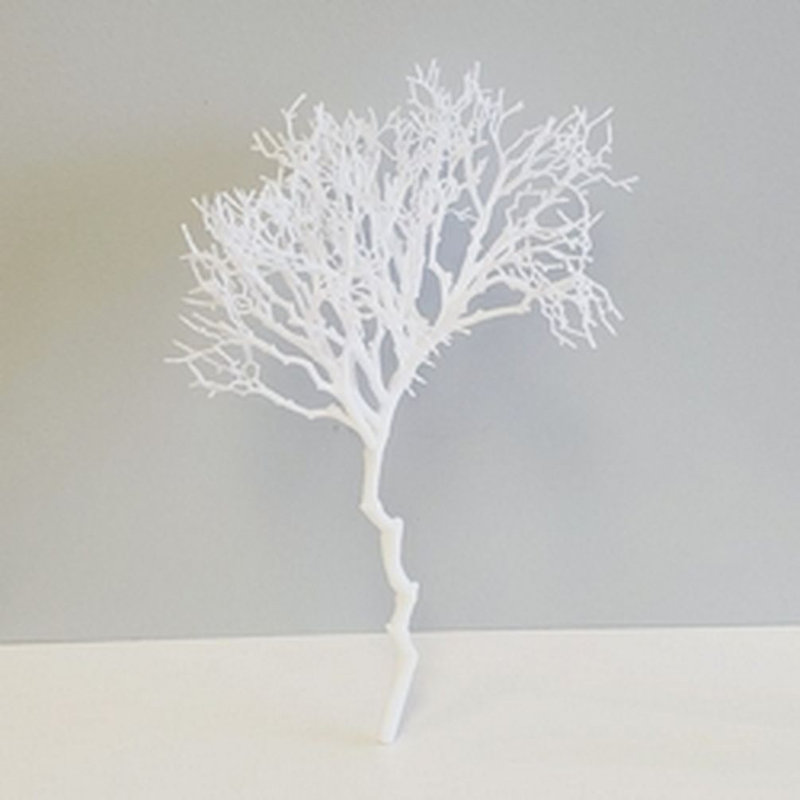 Coral Arrangement