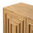 Avelor 2-Door Accent Cabinet