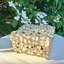 Dogwood Pewter Decorative Box