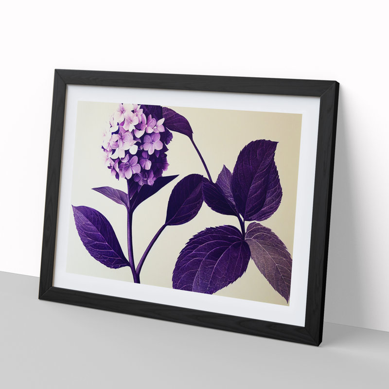 Classic Hydrangea Flowers - Framed Print, Black, 34cm H x 46cm W x 2cm D