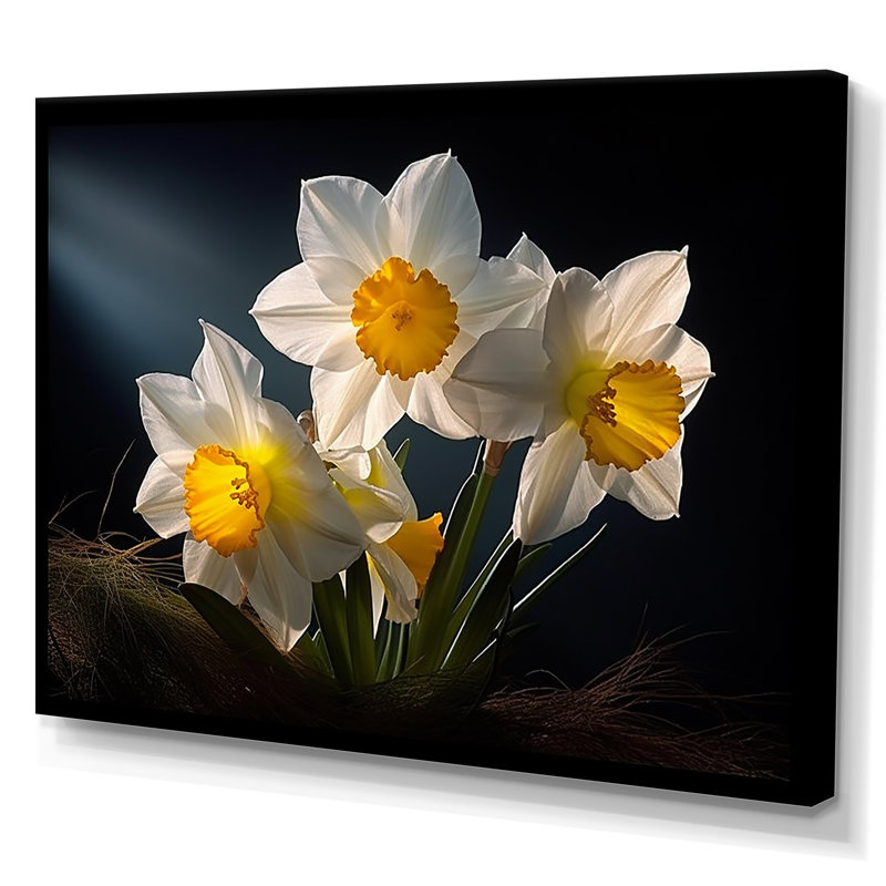 Fleur de jonquilles blanches et jaunes, Toile tendue, H 34 po x l 44 po