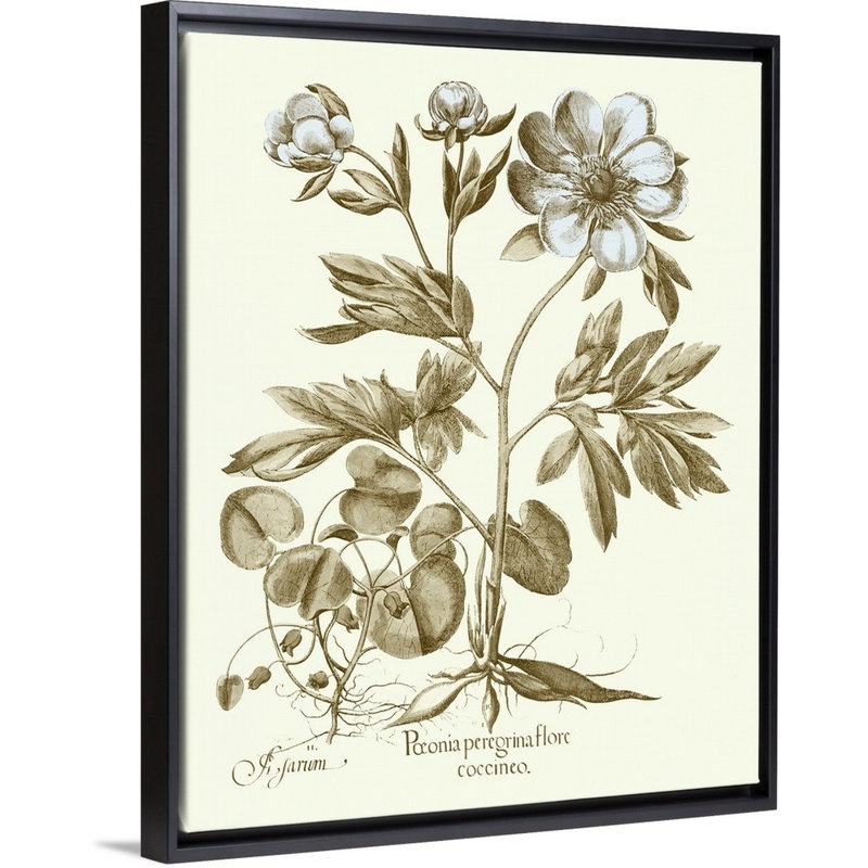 Spa pivoines III, art mural sur toile, Toile avec cadre noir, H 20 po x l 16 po x P 2 po