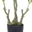 Plante artificielle en pot 32 "