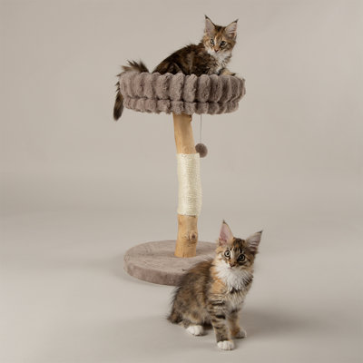 Scruffs Appalachians Cat Scratching Tree