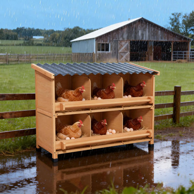 All-weather Wooden Chicken Nesting Boxes With Entry Perch And Privacy Panel ,fits 6 Hens