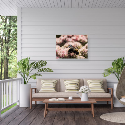 Canvas Wall Decor