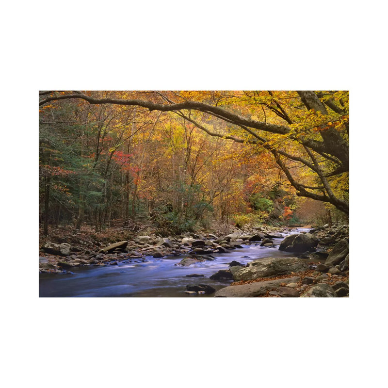 Little River Flowing Through Autumn Forest, Great Smoky Mountains National Park, Tennessee by Tim Fitzharris - Wrapped Canvas Print