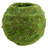 Bumgarner Pot Planter-1262359464-1262359462