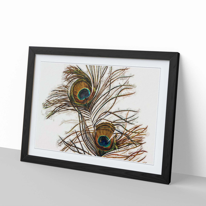 Vintage Peacock Feather Illustration - Picture Frame Painting Print, 36cm H x 48cm W x 2cm D, Black Framed