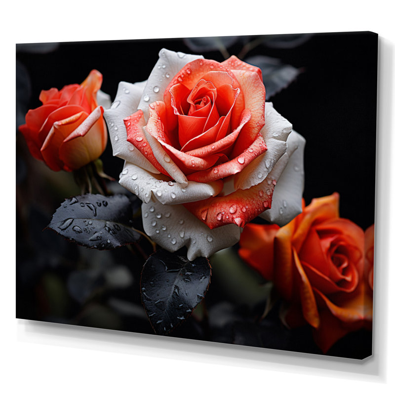 Atyia pêche roses corail sérénade - impression, Toile tendue, H 12 po x l 20 po