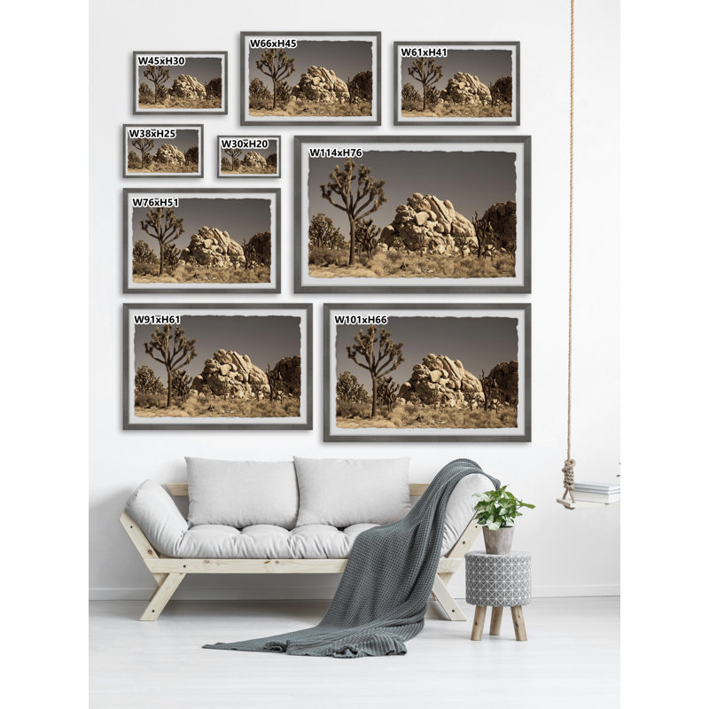 Cactus And Rocks - Single Picture Frame Print, 61cm H x 91cm W x 3.81cm D