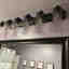Photos des clients 2 de 2