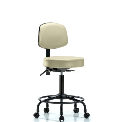 Barcus Backed Adjustable Backrest Adjustable Height Ergonomic Lab Stool