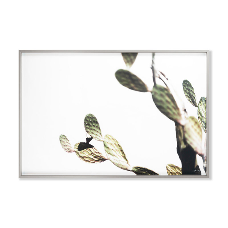Az Botanical 38 Print by Chris Dunker, 37" H x 55" W