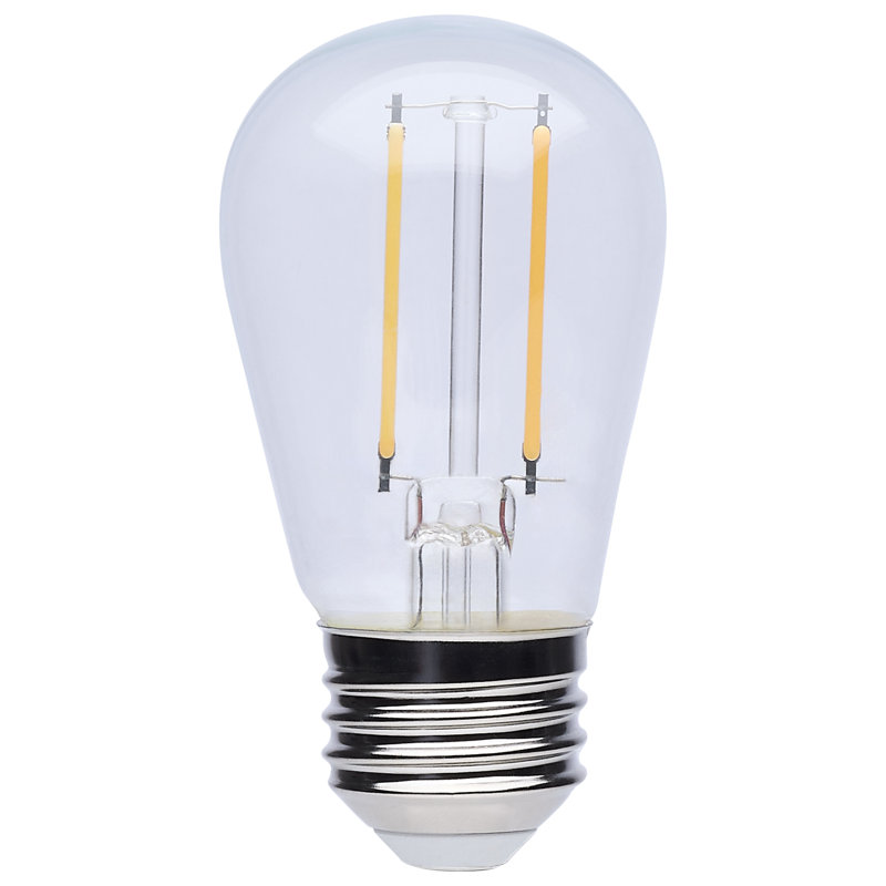 Guirlande lumineuse de remplacement S14 à DEL, culot moyen, 2700 K, transparent, 120 V