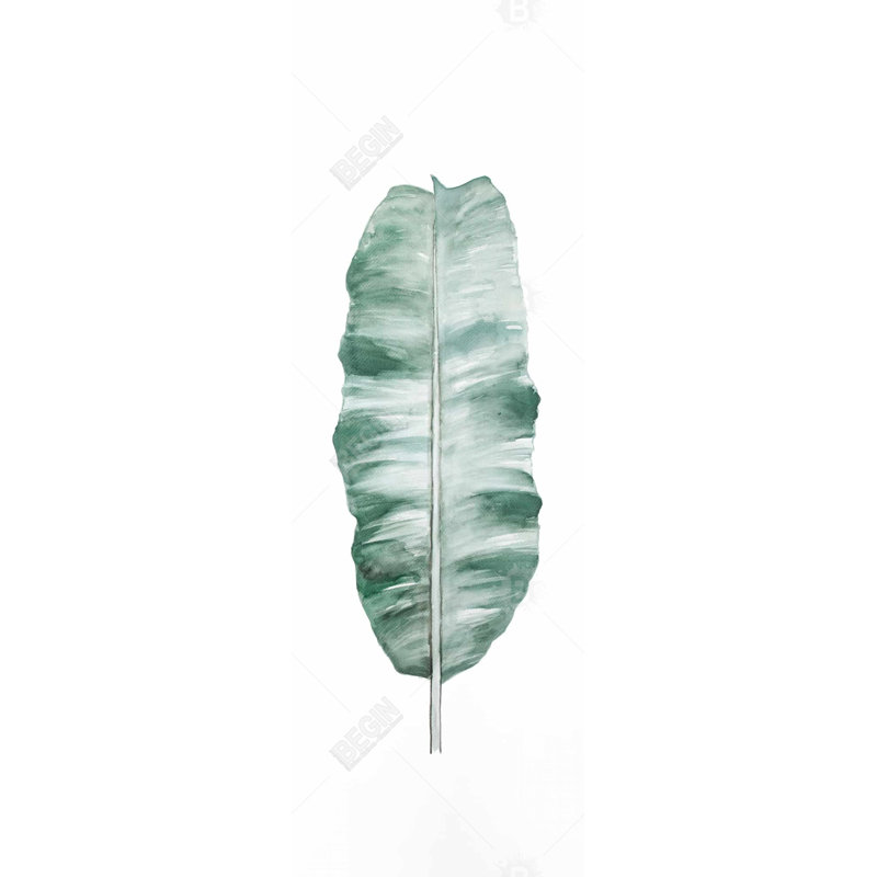 " Banana Leaf "