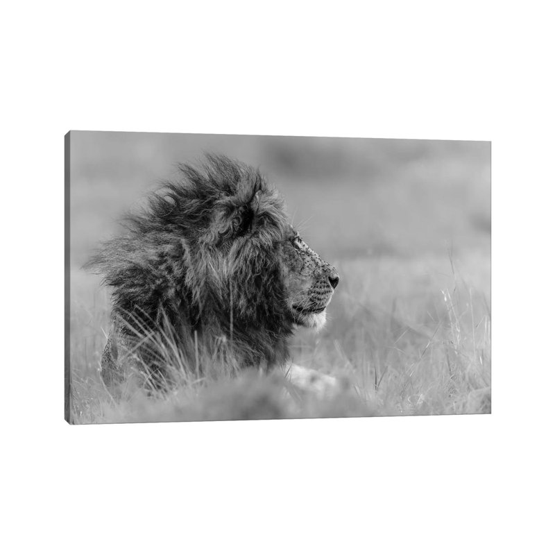 «The King Is Alone» par Massimo Mei - impression d'art graphique, H 40 po x l 60 po x 1,5 po, Toile tendue