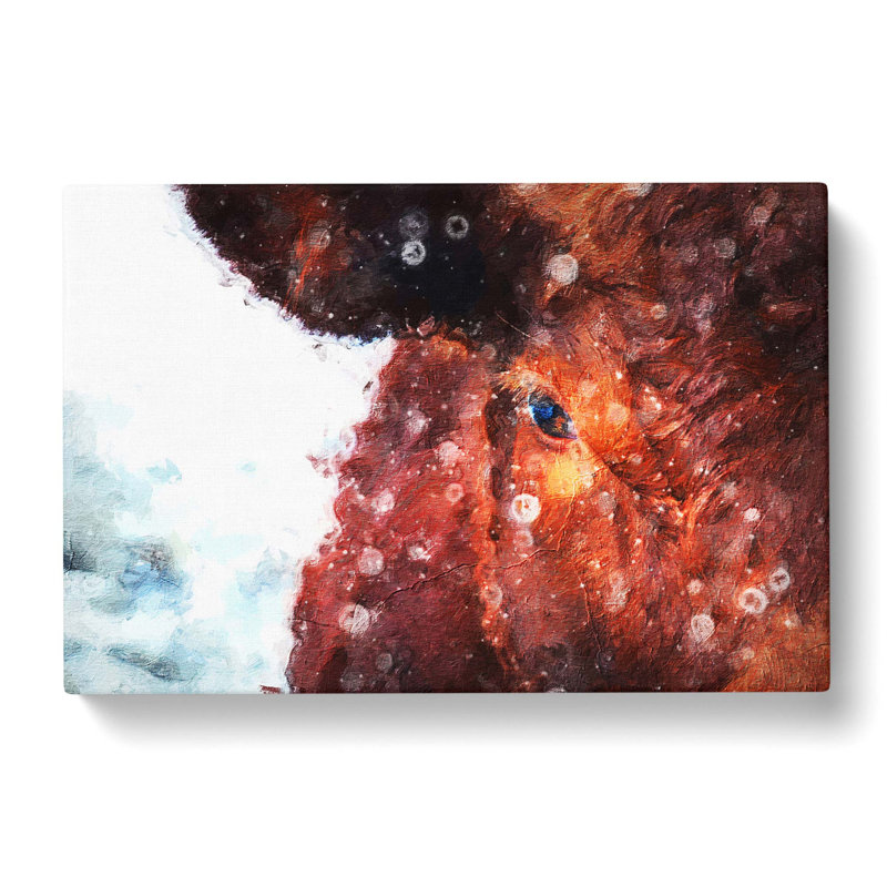 Bull Cow - Wrapped Canvas, 40cm H x 60cm W x 3cm D