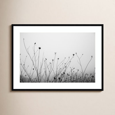 " Autumn Grasses " by Aledanda
