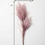 Madie Reed Stems-1145943758