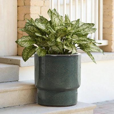 12'' Dia Deep Green Round Ceramic Planter Pot, Modern Indoor Outdoor Pot for Plants with Drainage