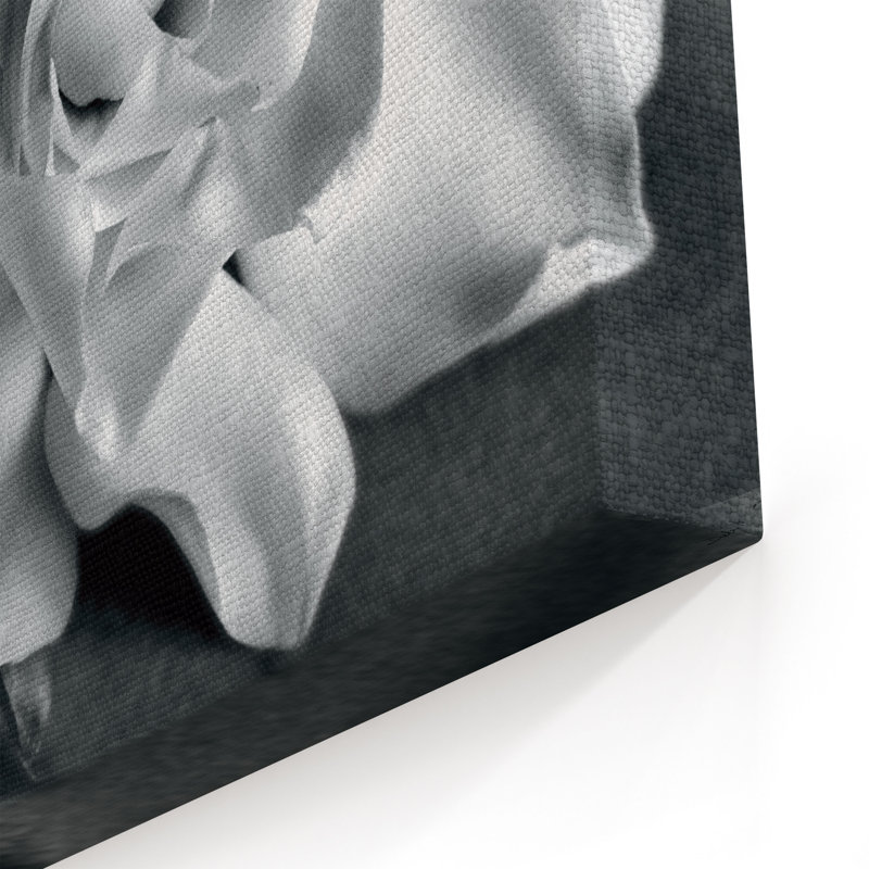 "Gardenia" par Debra VanS vêtementsingen, photographie de fleur sur toile tendue, H 14 po x l 14 po x P 2 po, Toile tendue