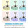 Dayris 42'' Ceiling Fan with LED Lights