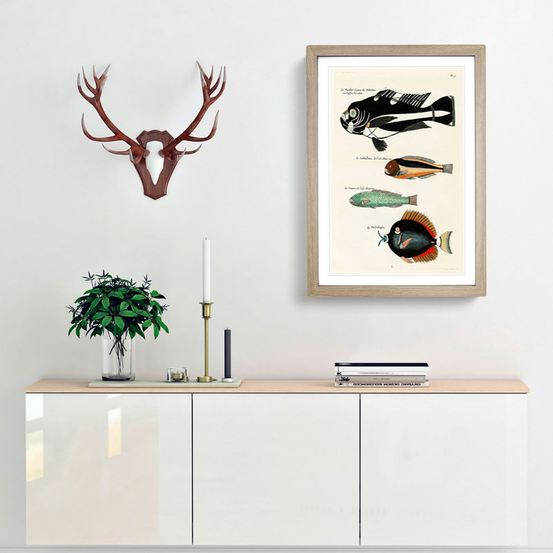 East Indies Fish Illustrations Fol. 9 by Louis Renard - Picture Frame Graphic Art Print, 48cm H x 36cm W x 2cm D, Oak Framed