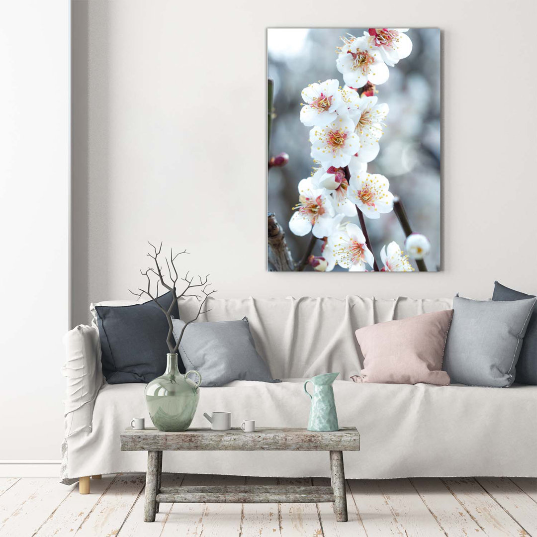 Kirschblüten - Kunstdrucke auf Leinwand - Wrapped Canvas