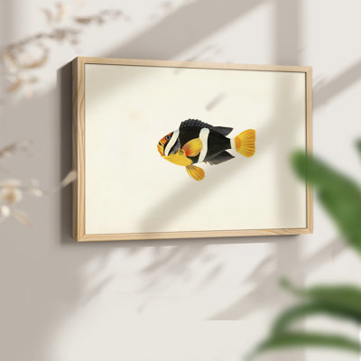 Tropical Fish Collection II -Framed Print - Restickable