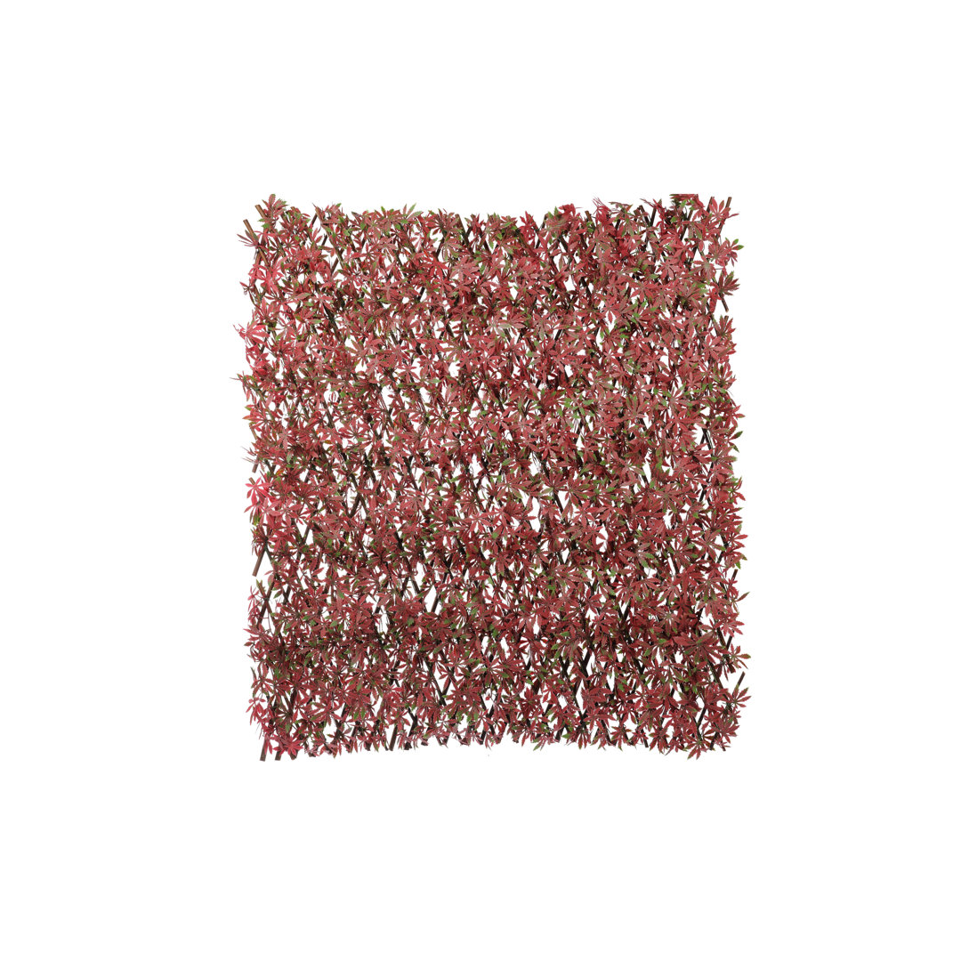 Annalicia 180Cm H x 60Cm W Plastic Expanding Trellis