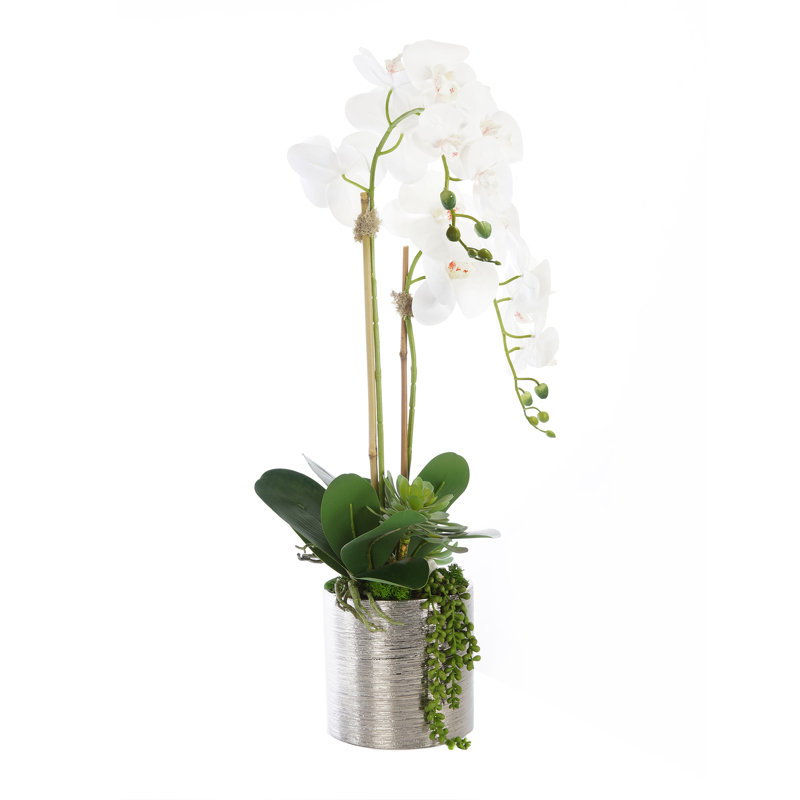 Real Touch Orchid Centerpiece in Pot