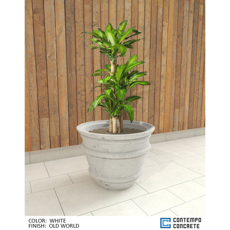 Mela Planter, Old World White