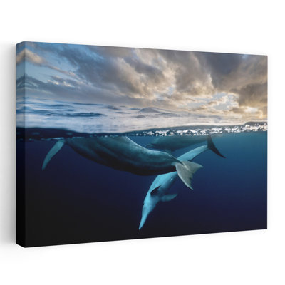 Art mural abstrait contemporain Sunrise