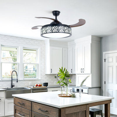 Otisville 42'' Ceiling Fan with LED Lights