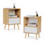 Ensemble de 2 tables de chevet Mid-Century