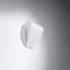 Hajo Glass Flush Mounted Sconce