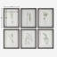  Forest Finds Framed Prints Set/6