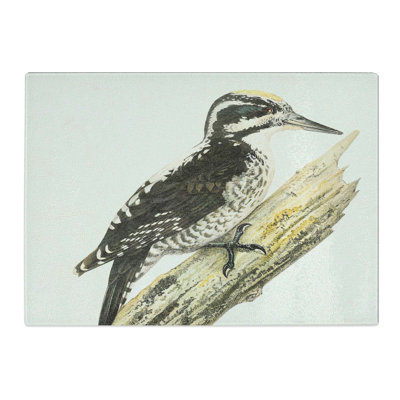 Tempered Glass a Three-Toed Woodpecker Chopping Board