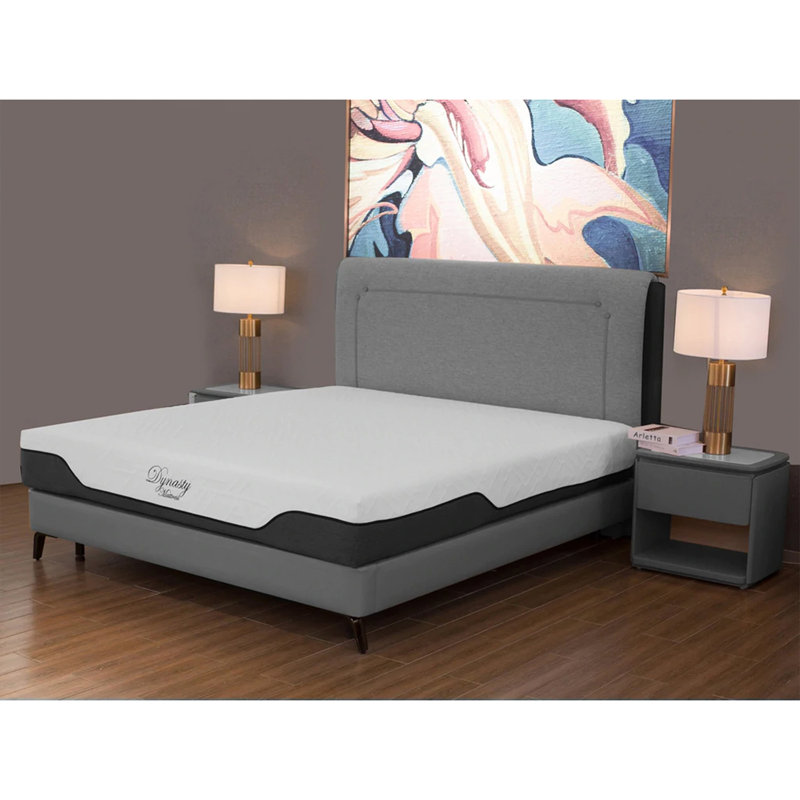 Matelas en mousse viscoélastique imprégnée de gel CoolBreeze de 12 pouces avec housse Dynasty