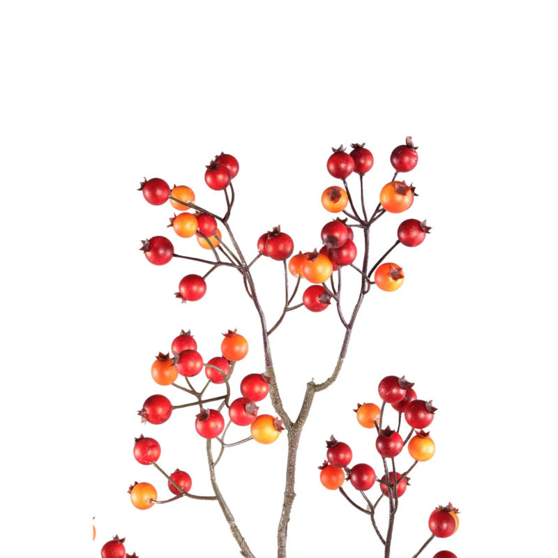 Berry 80cm Plant