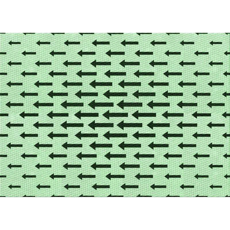 Indoor Rug, Rectangle 2' x 3'