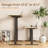 Height Adjustable Electric Standing Desk